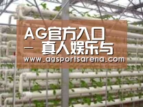 环境展示六