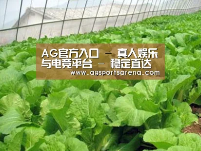 种植基地一