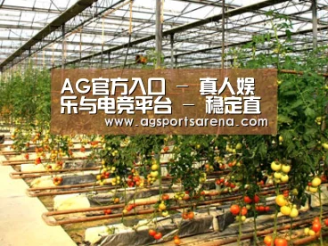 种植基地二(图1)