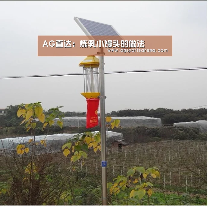 AG直达:炼乳小馒头的做法(图2) AG直达